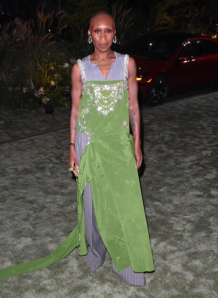 Cynthia Stuns at the WSJ Magazine Innovator Awards