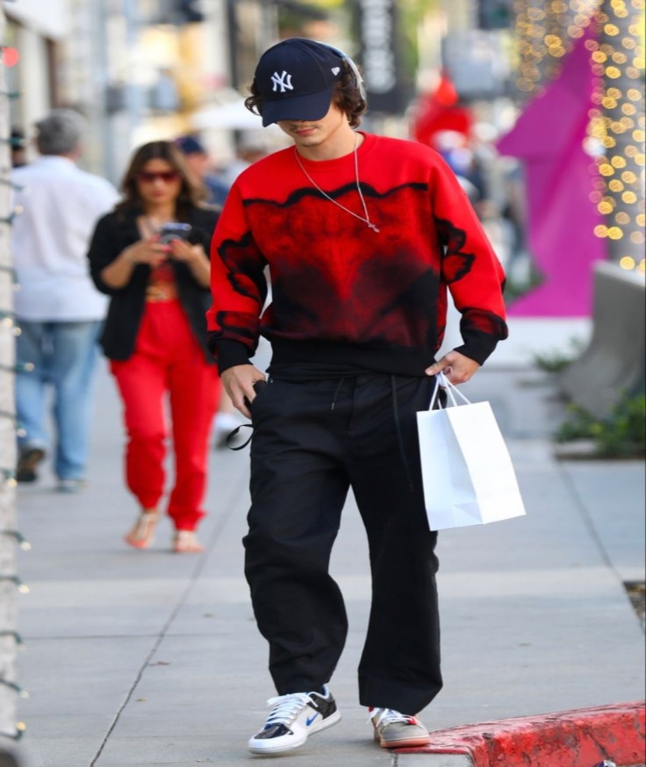 Bold Monochrome Timothée Chalamet Street Style