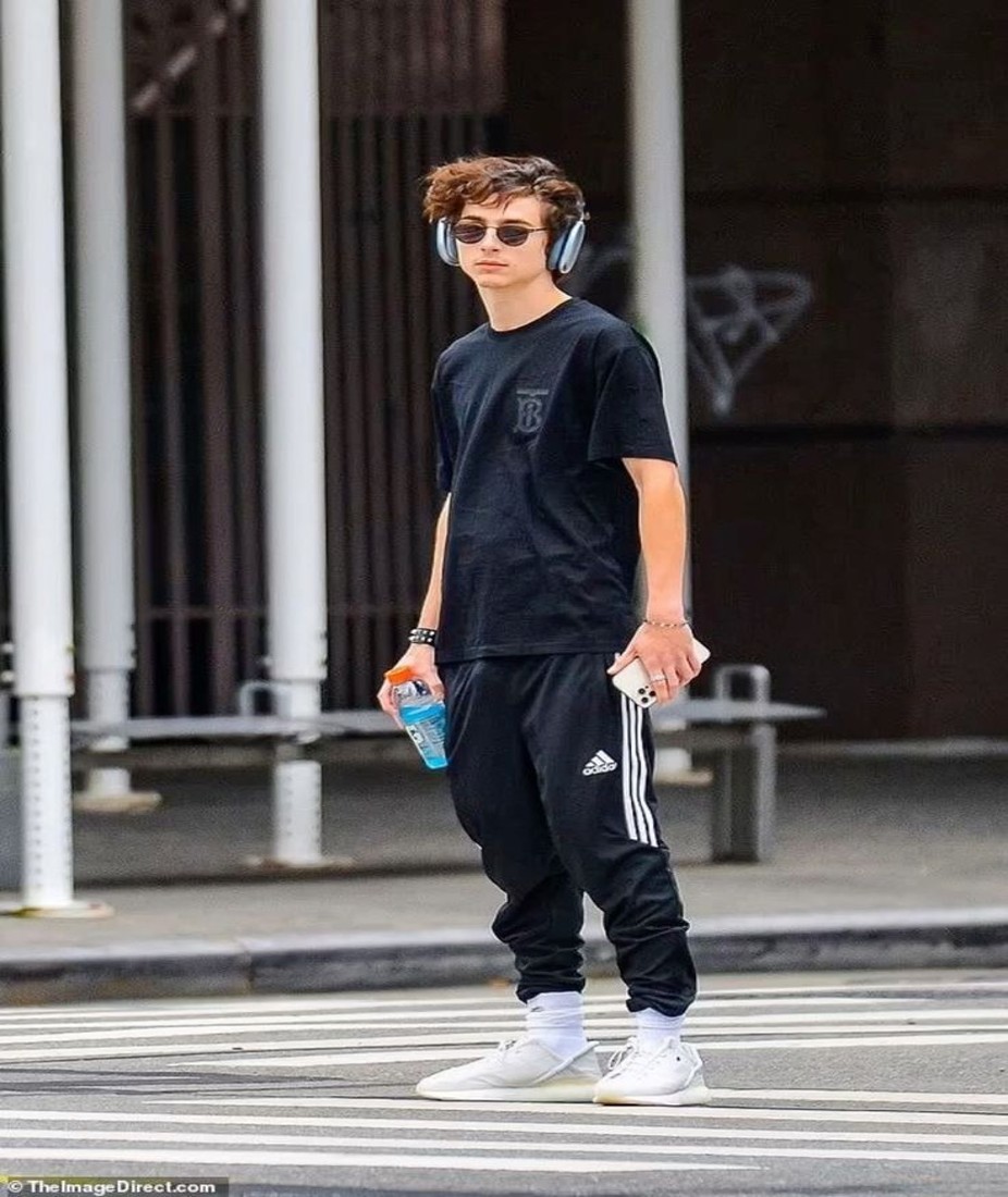 Effortless Timothée Chalamet Street Art Style