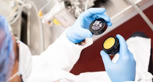 natural vs. synthetic cosmetics creme