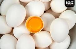 eggs