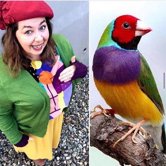 nature-inspired trends colorful bird