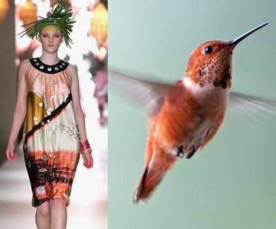 nature-inspired trends huming bird