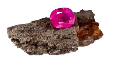 ruby birthstone on bark 