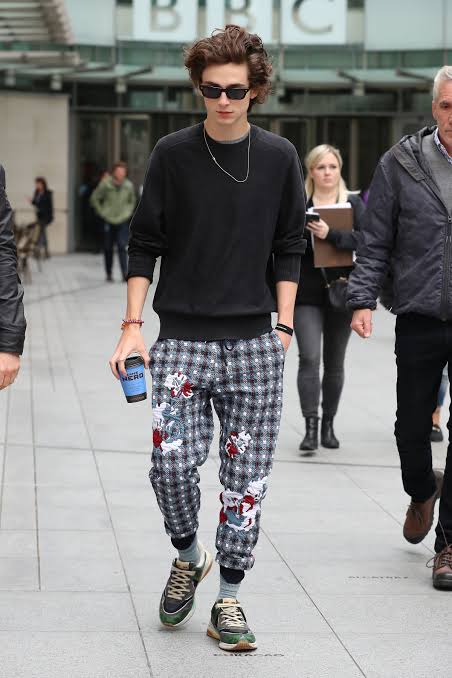 celebrity street-style moments chalamet 