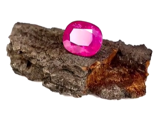 ruby stone on bark