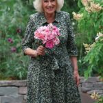 Cover image of the Chelsea Flower Show