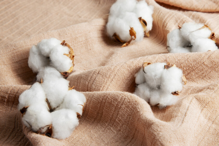 Custom-Printed Cotton Fabric in Bulk in the UK