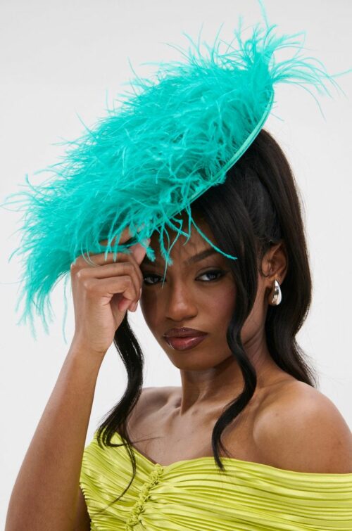 Sophisticated Glam Elegant Wide-Brim Hat featuring Feathers.