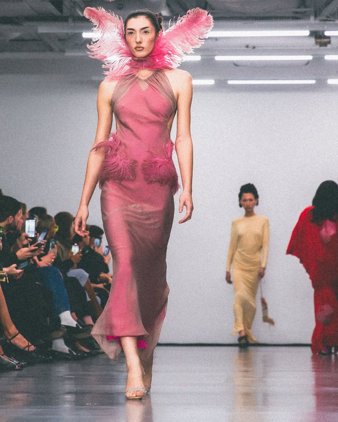 Grace walks down the runway in the Conner Ives Spring/Summer 2026 collection in a silk-chiffon gown with vintage feather trim and collar and feather sandals.