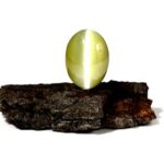 Cat’s Eye Stone in bark background