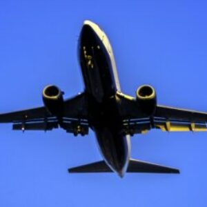 Profile photo of Sofia Romano