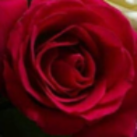 Profile photo of Craxy Guy