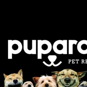Profile photo of Puparazzi LA