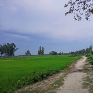 Group logo of Natural Beauty