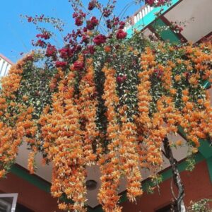 Group logo of Fashion & Social Media