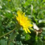 Group photo of Fashion and Health