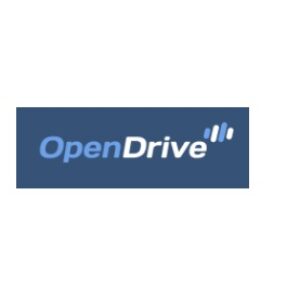 Group logo of Open Drive