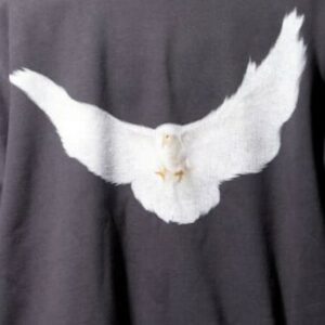 Group logo of Yeezy enthusiastic